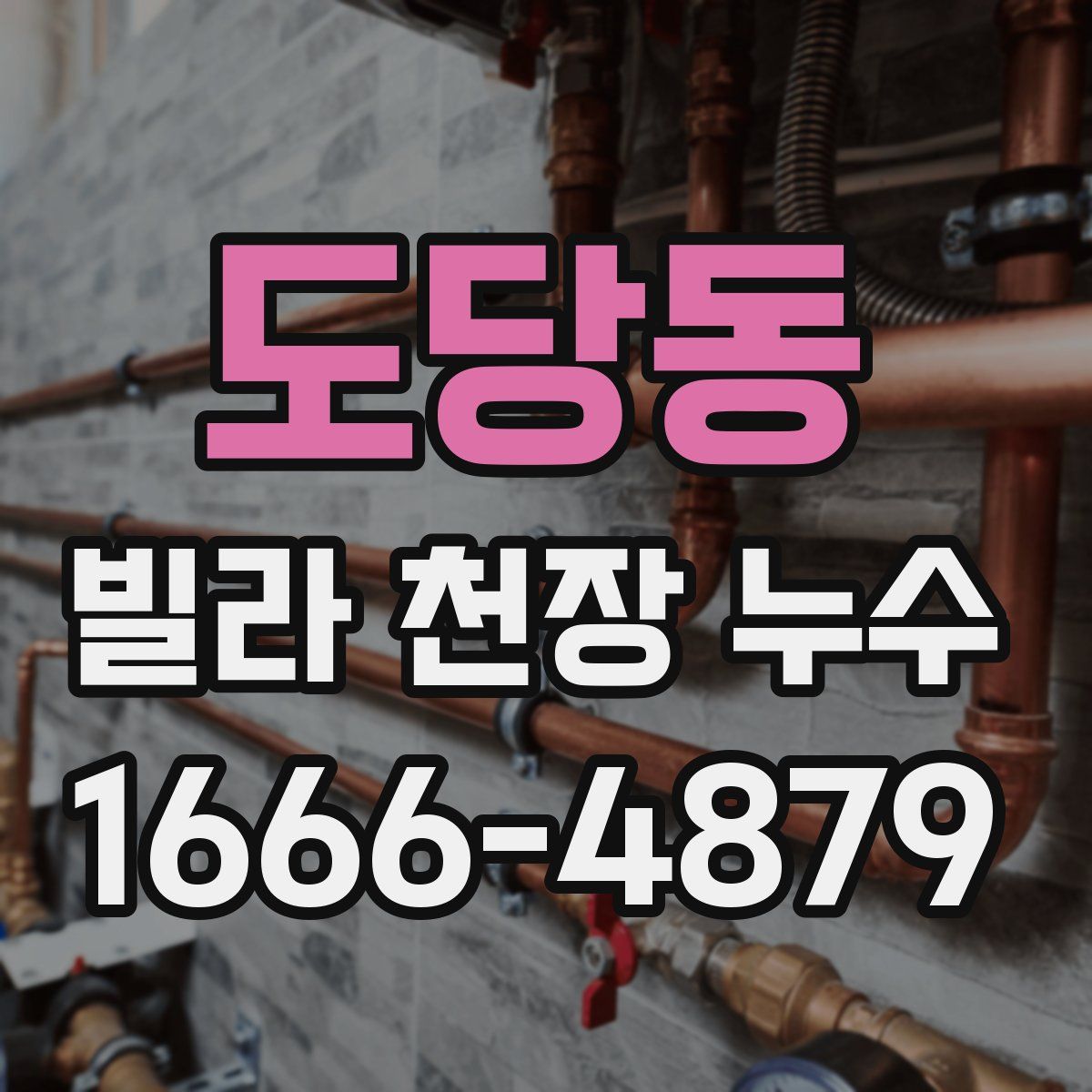 도당동 빌라 천장 누수