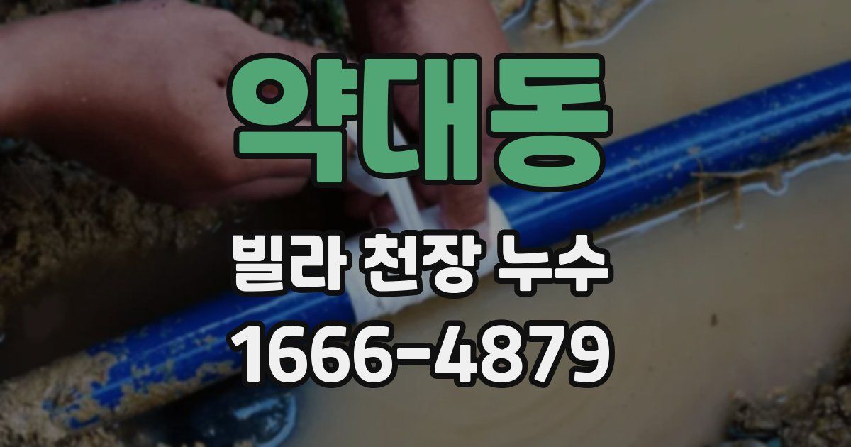 약대동 빌라 천장 누수