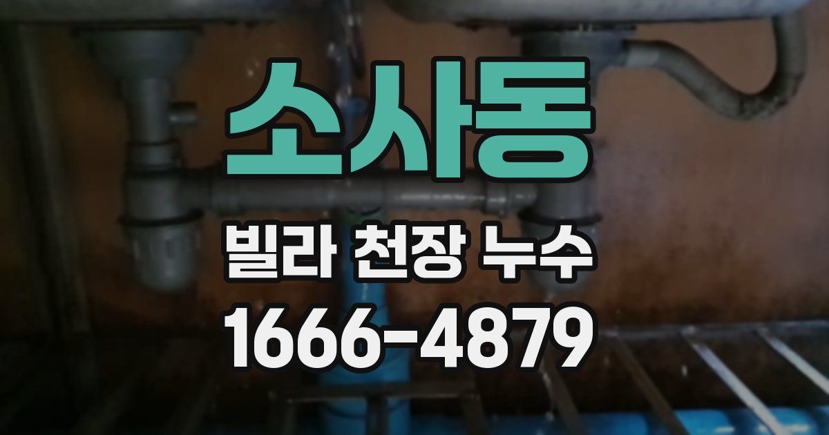소사동 빌라 천장 누수