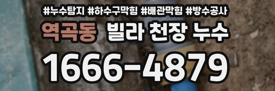 역곡동 빌라 천장 누수