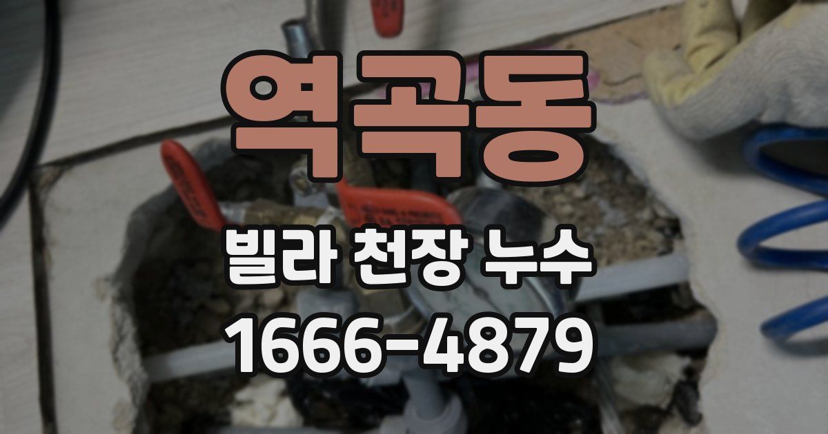 역곡동 빌라 천장 누수