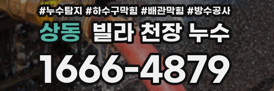 상동 빌라 천장 누수
