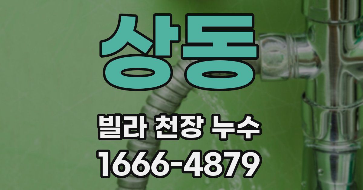 상동 빌라 천장 누수