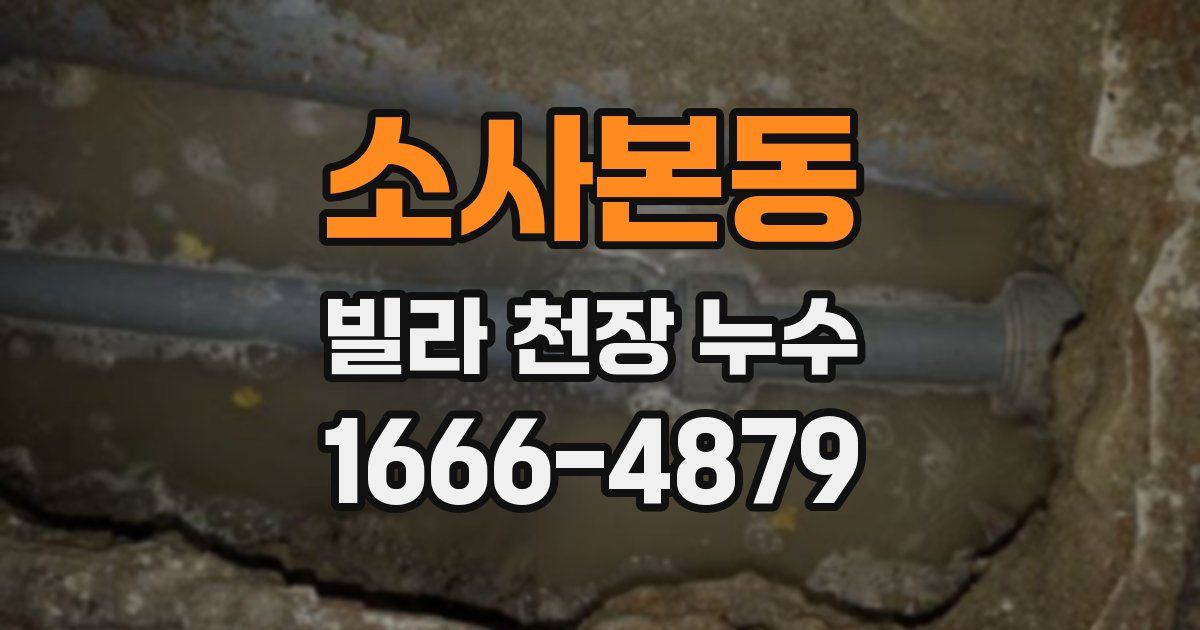 소사본동 빌라 천장 누수