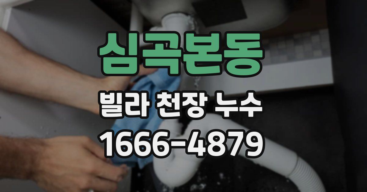 심곡본동 빌라 천장 누수