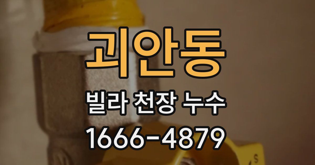 괴안동 빌라 천장 누수
