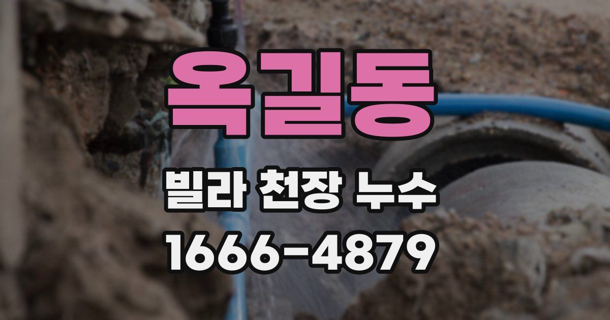 옥길동 빌라 천장 누수