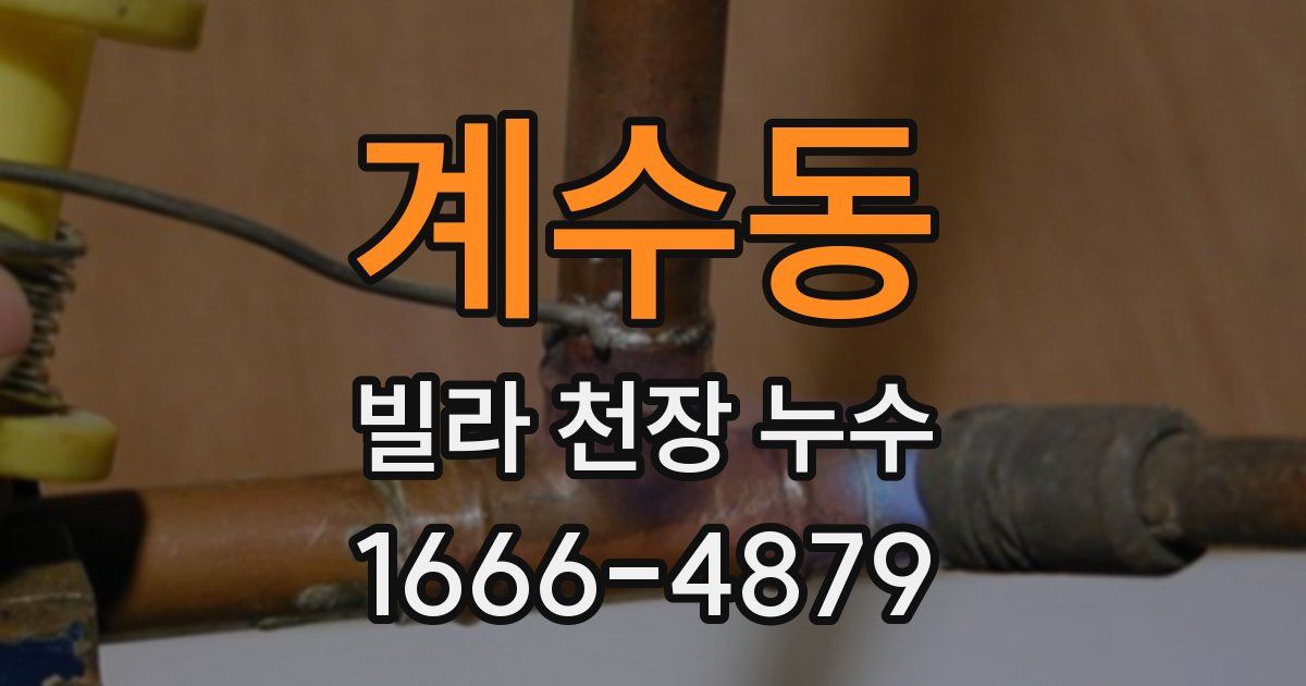 계수동 빌라 천장 누수