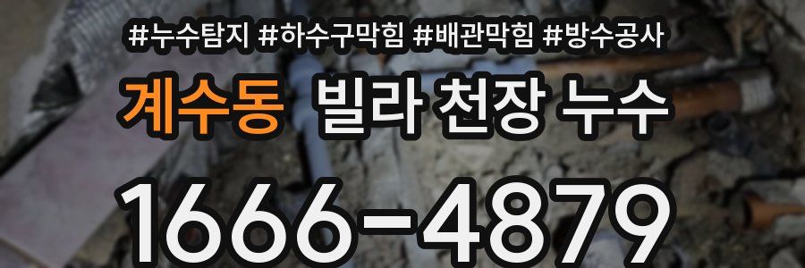 계수동 빌라 천장 누수