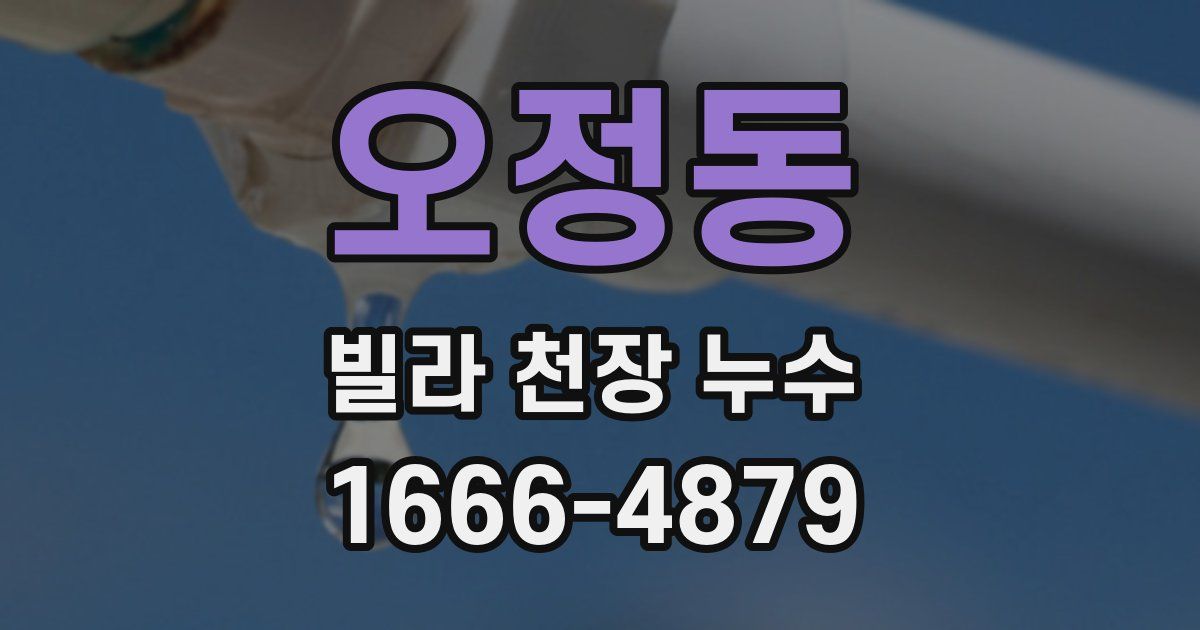 오정동 빌라 천장 누수