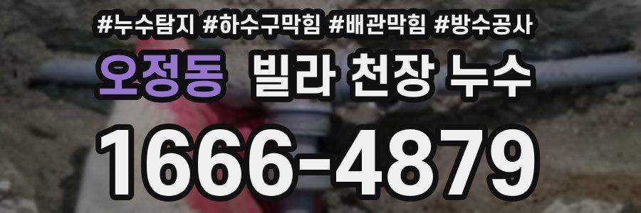 오정동 빌라 천장 누수