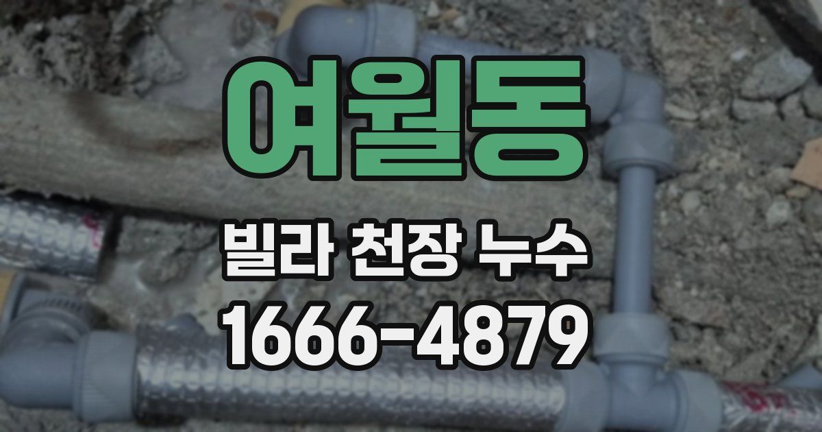 여월동 빌라 천장 누수