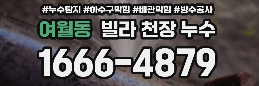여월동 빌라 천장 누수
