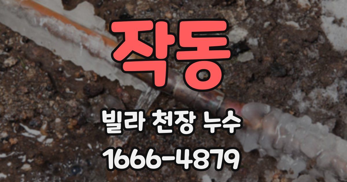 작동 빌라 천장 누수