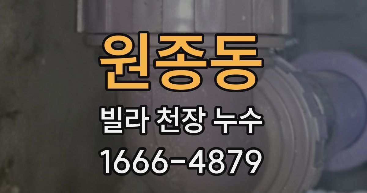 원종동 빌라 천장 누수
