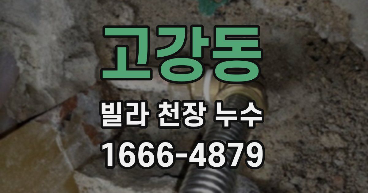 고강동 빌라 천장 누수