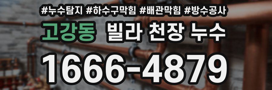 고강동 빌라 천장 누수