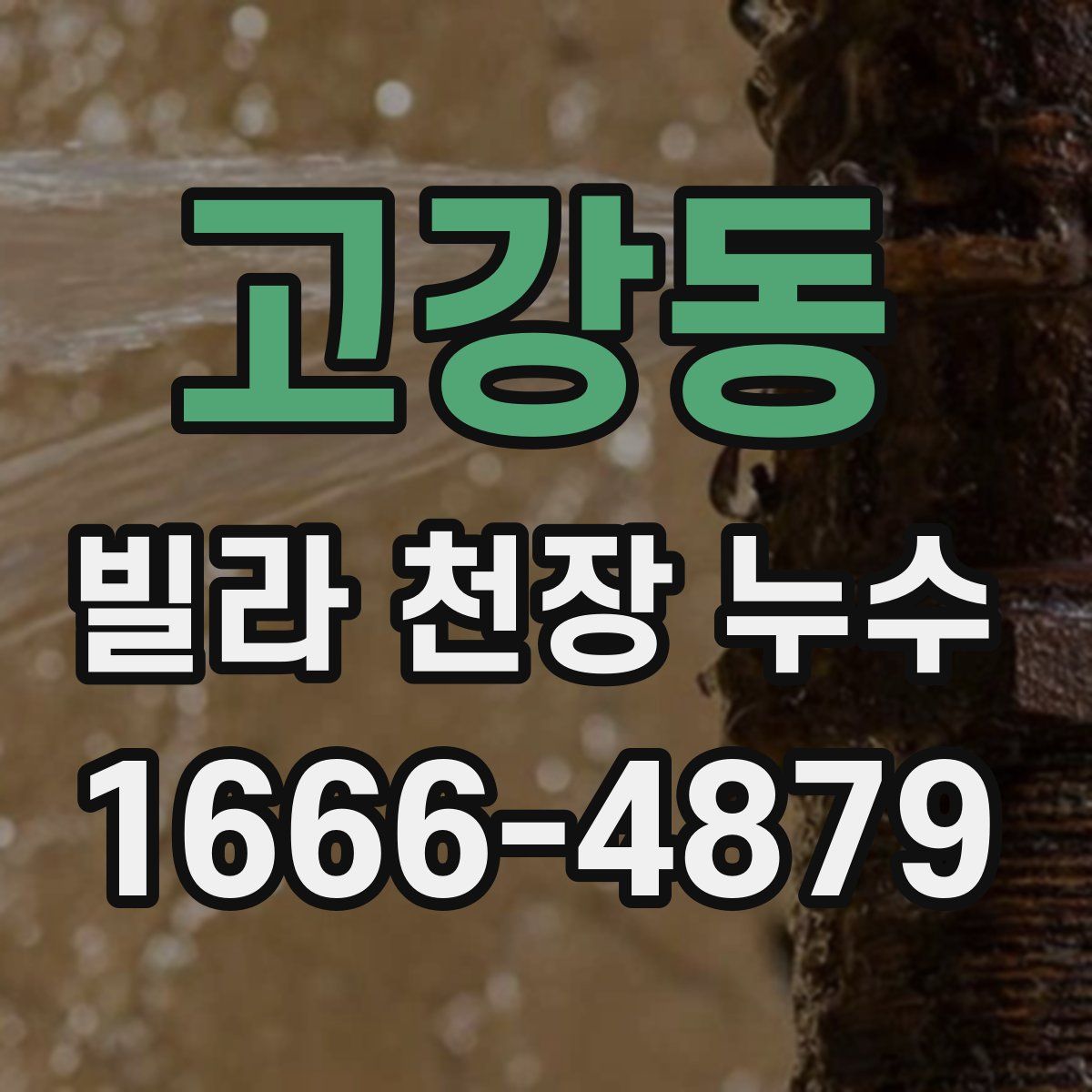 고강동 빌라 천장 누수