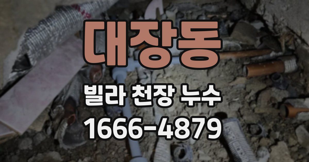 대장동 빌라 천장 누수