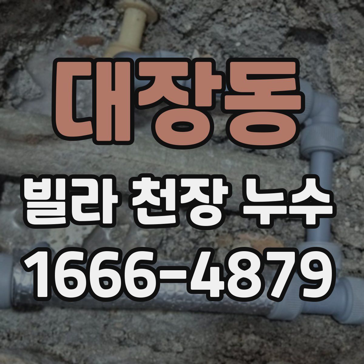 대장동 빌라 천장 누수