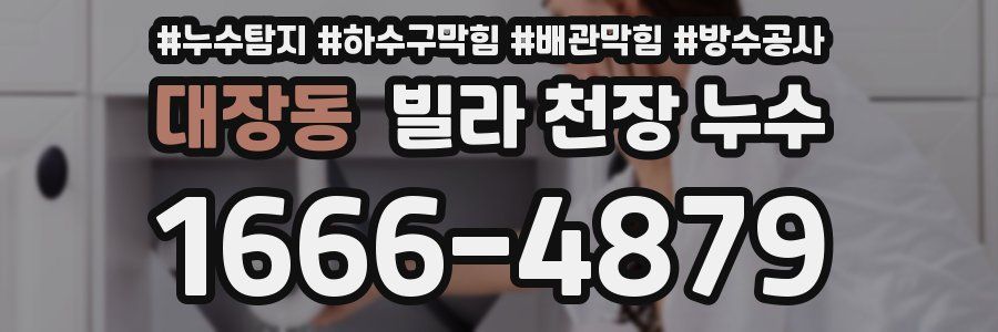 대장동 빌라 천장 누수