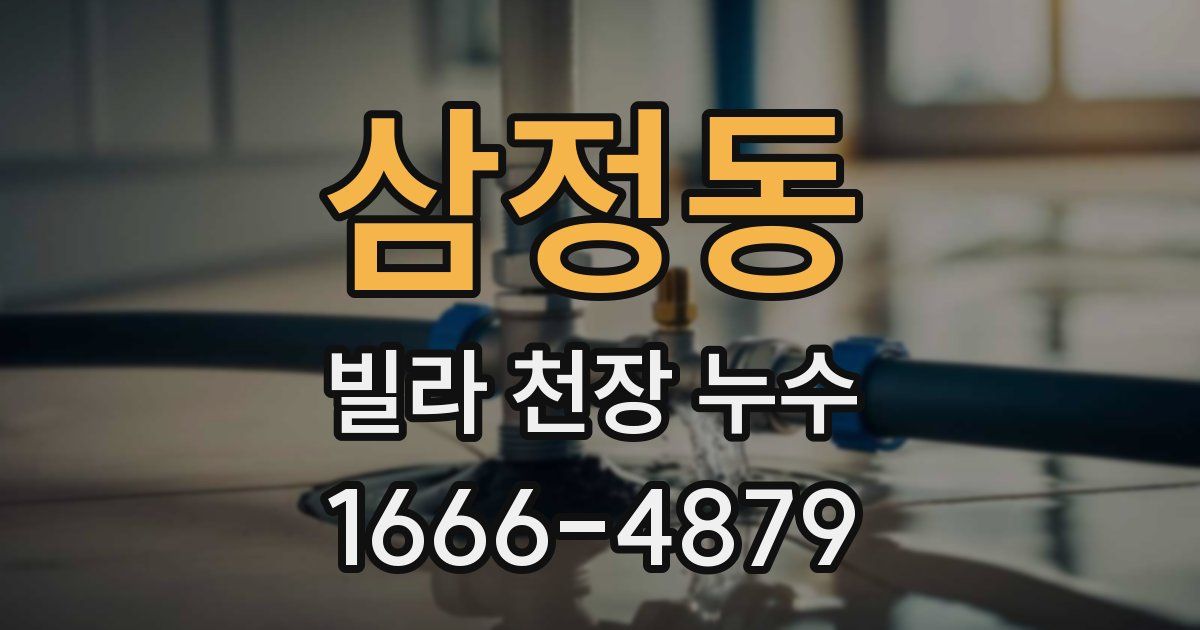 삼정동 빌라 천장 누수