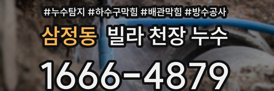 삼정동 빌라 천장 누수