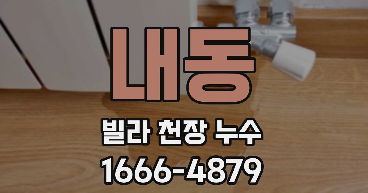 내동 빌라 천장 누수