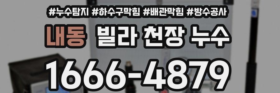 내동 빌라 천장 누수