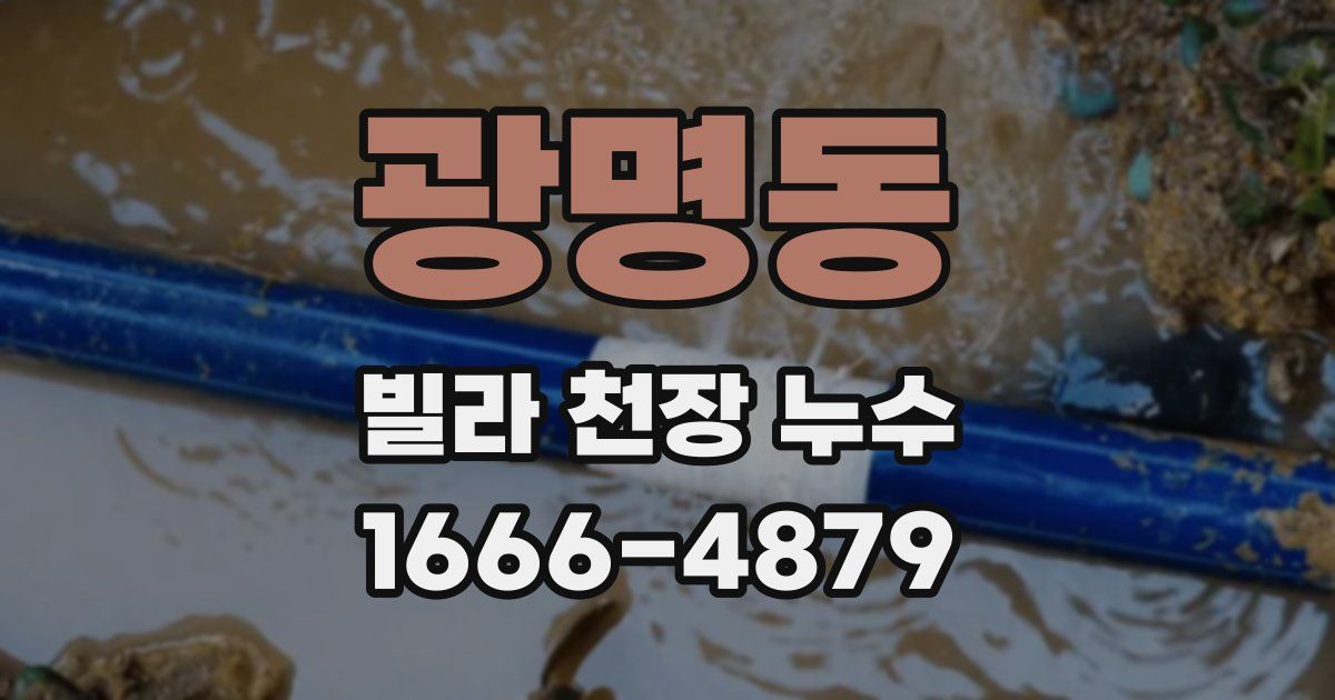 광명동 빌라 천장 누수
