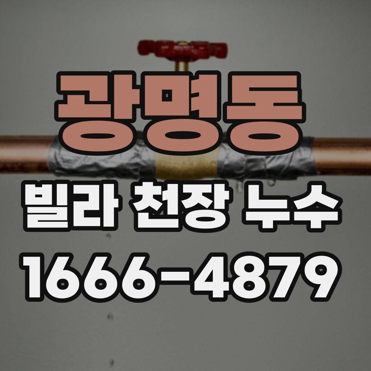 광명동 빌라 천장 누수