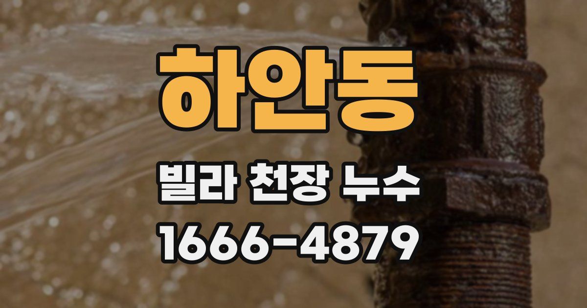 하안동 빌라 천장 누수