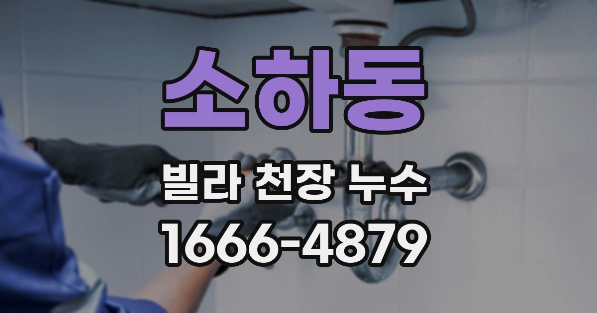 소하동 빌라 천장 누수
