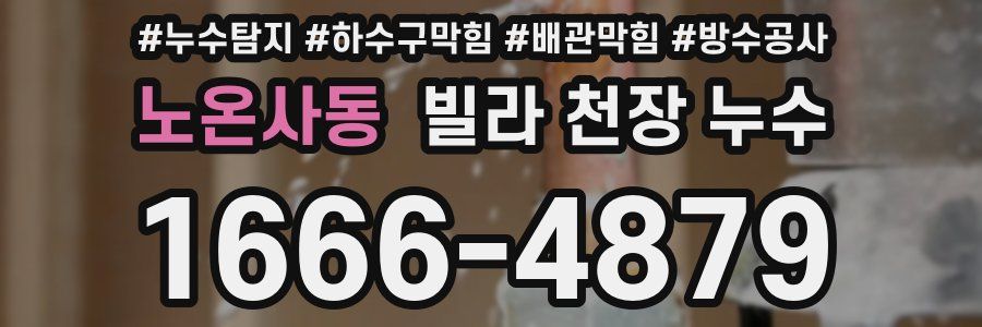 노온사동 빌라 천장 누수