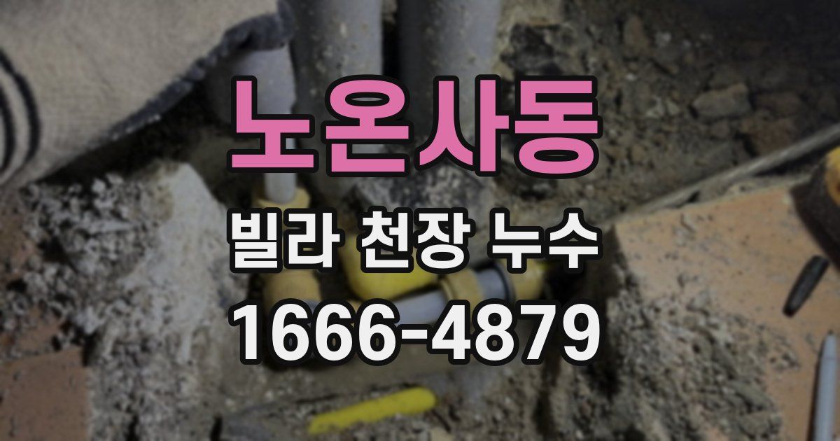 노온사동 빌라 천장 누수