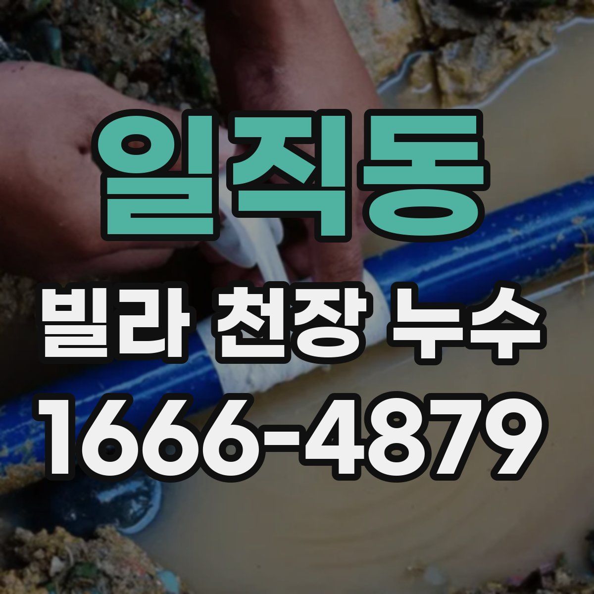 일직동 빌라 천장 누수