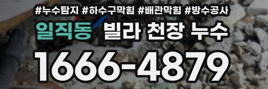 일직동 빌라 천장 누수