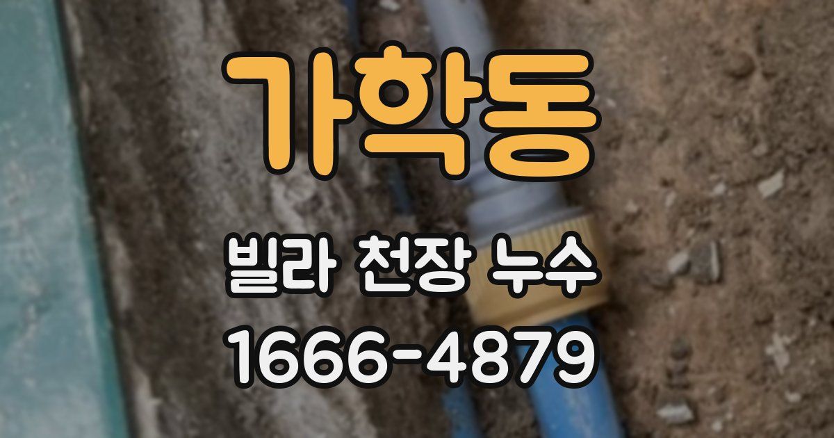 가학동 빌라 천장 누수