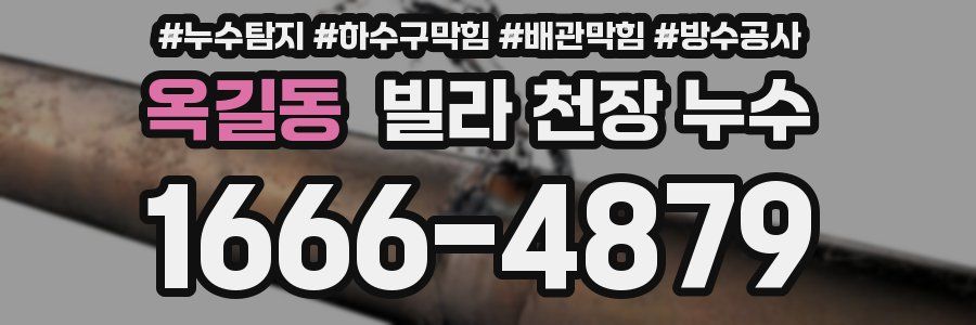 옥길동 빌라 천장 누수