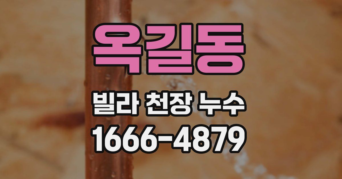 옥길동 빌라 천장 누수