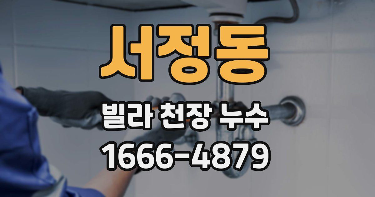 서정동 빌라 천장 누수