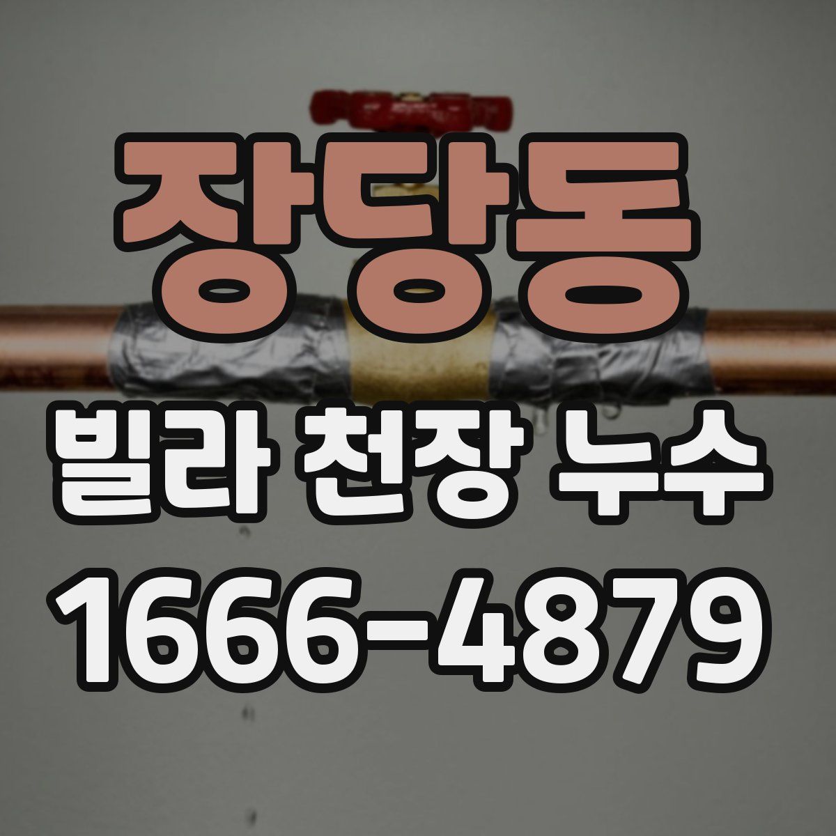 장당동 빌라 천장 누수