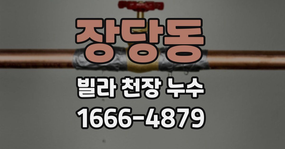 장당동 빌라 천장 누수