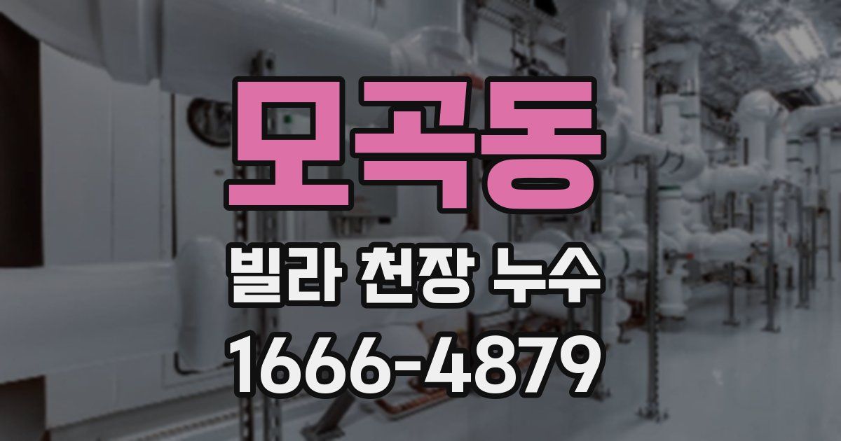 모곡동 빌라 천장 누수