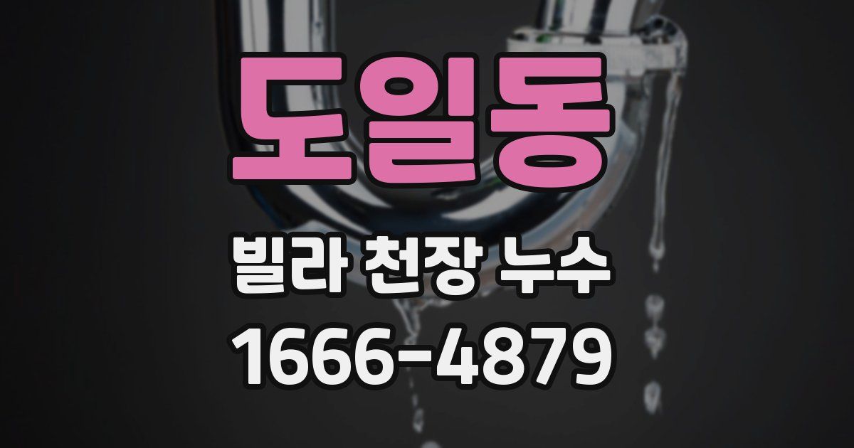 도일동 빌라 천장 누수