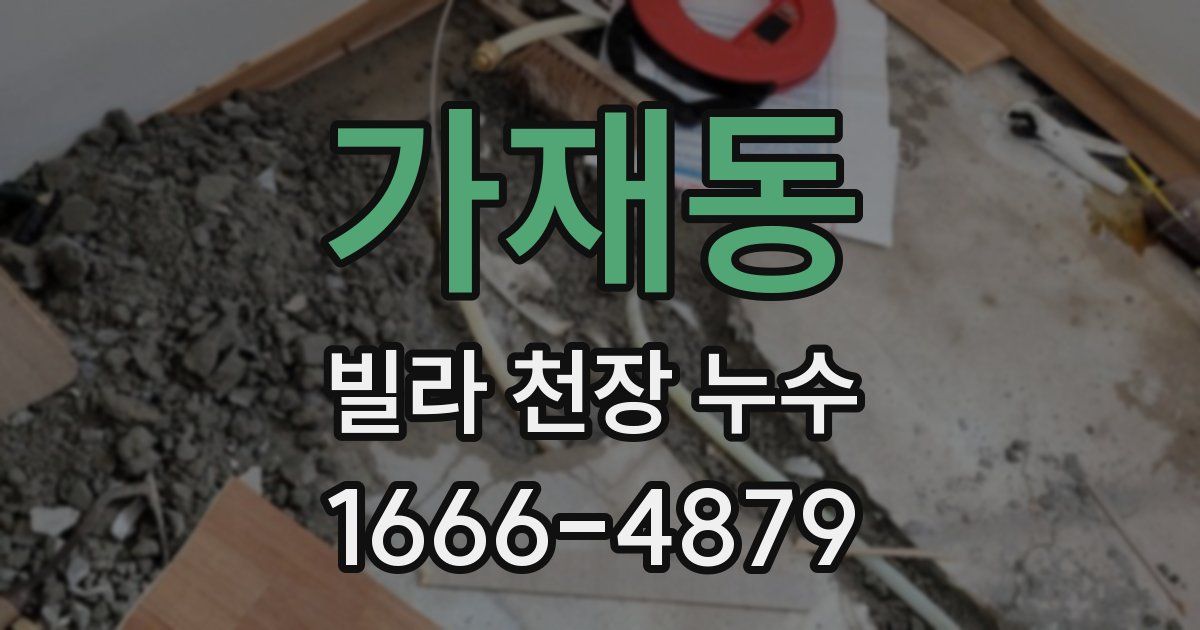 가재동 빌라 천장 누수