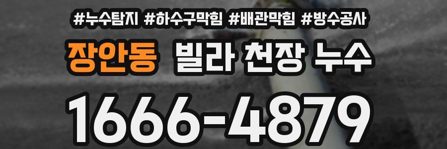장안동 빌라 천장 누수