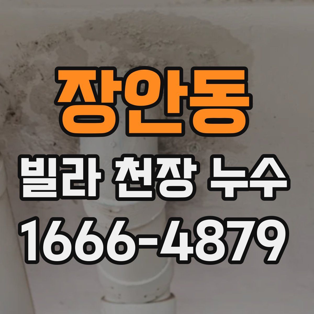 장안동 빌라 천장 누수