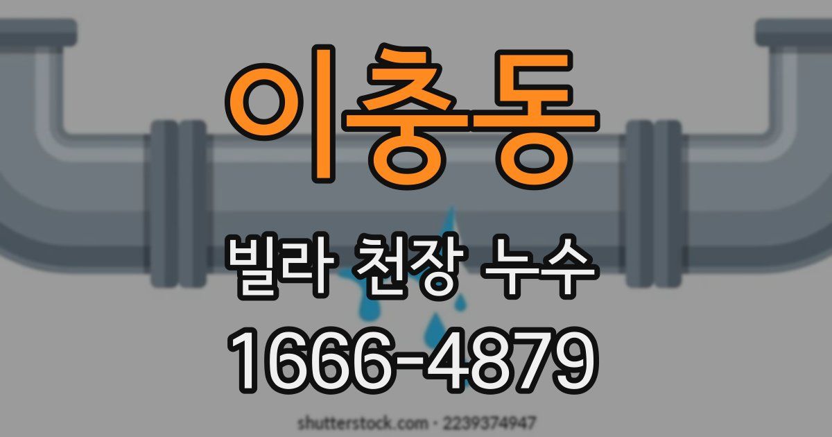 이충동 빌라 천장 누수