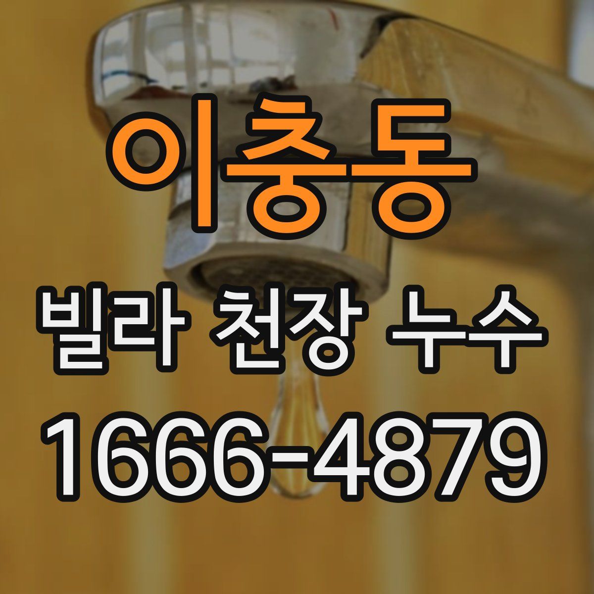 이충동 빌라 천장 누수